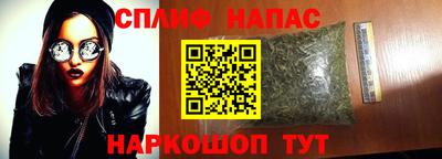 альфа пвп Заводоуковск