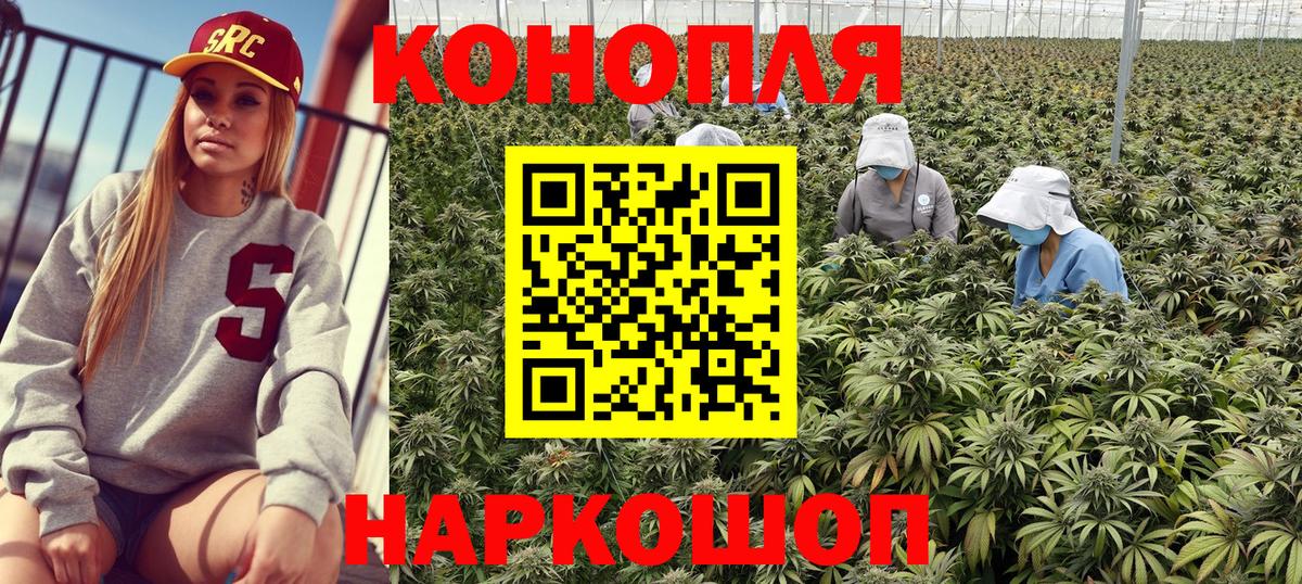 Конопля VHQ  Марихуана VHQ  Бошки марихуана AK-47  Люберцы  Вход с VPN  Канабис план 